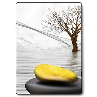 תמונה קריסטל פורצלן דגם WP47