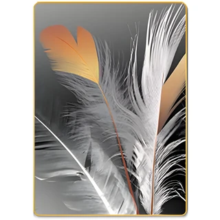 תמונה קריסטל פורצלן דגם WP51