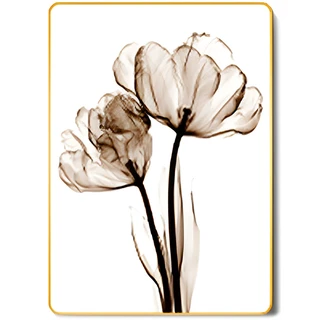 תמונה קריסטל פורצלן דגם WP53