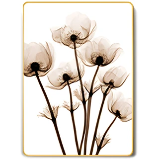 תמונה קריסטל פורצלן דגם WP54