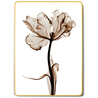 תמונה קריסטל פורצלן דגם WP55