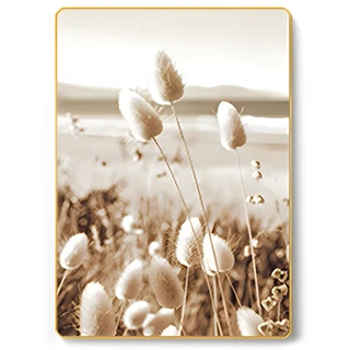 תמונה קריסטל פורצלן דגם WP68