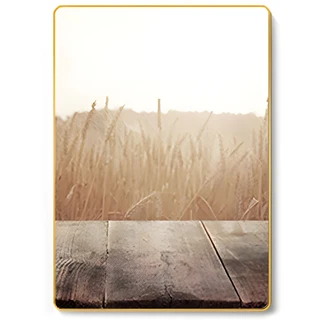 תמונה קריסטל פורצלן דגם WP69